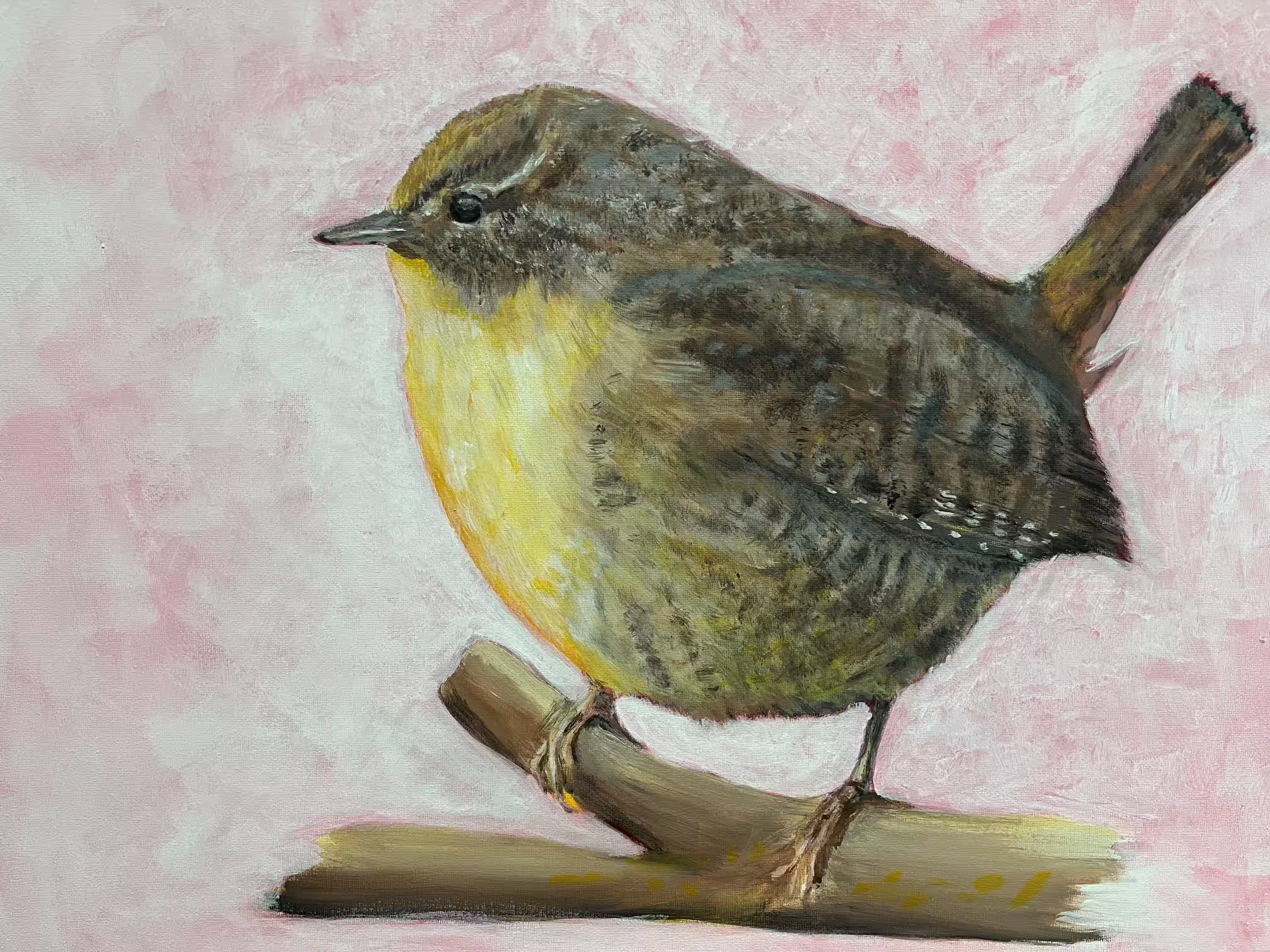 Dikke winterkoning - Acryl op canvas Dikke winterkoning - Acryl op canvas